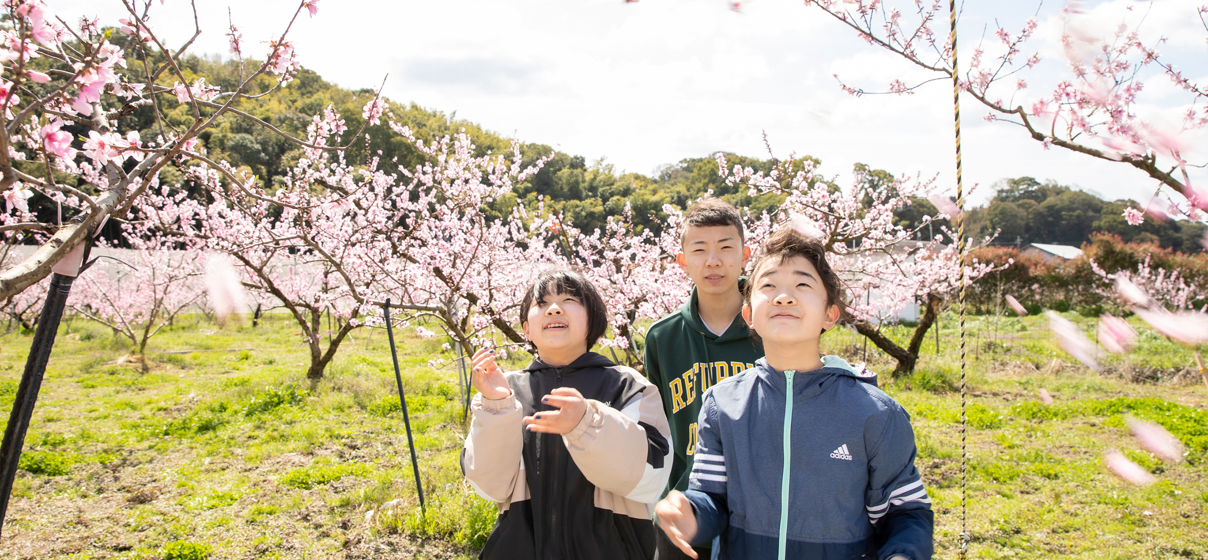 丸駒農園　あら川の桃産直販売